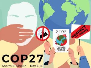 COP 27