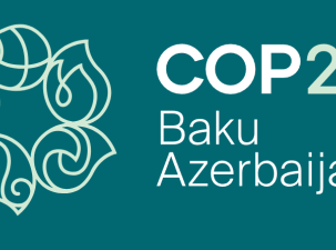 Das Logo der COP29