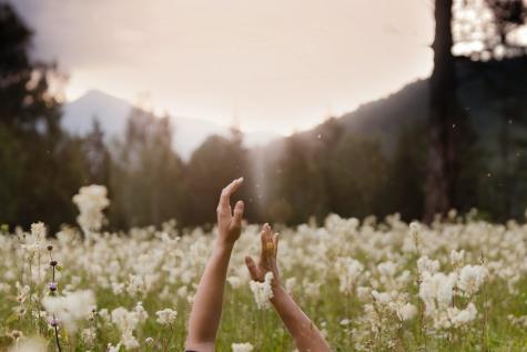 Hände im Vordergrund, Blumenfeld im Hintergrund