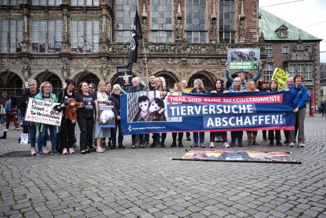 Demo Tierversuche