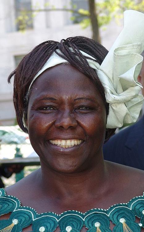 Porträt von Vorbild des Umweltschutzes: Wangari Maathai
