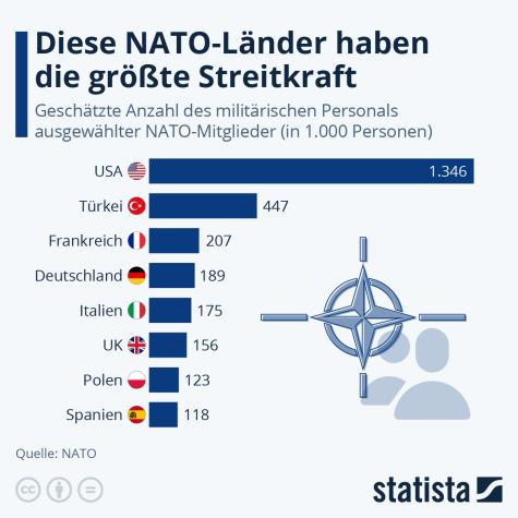 Eine Infografik zu den Streitkräften der NATO-Länder