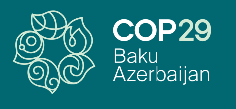 Das Logo der COP29