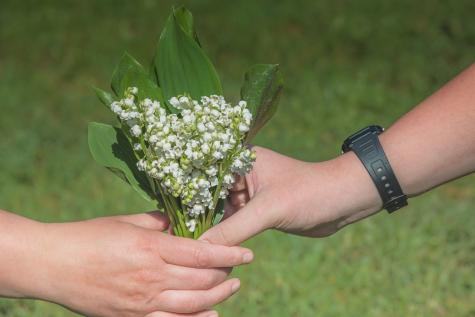 Hand mit Blumen an andere Hand