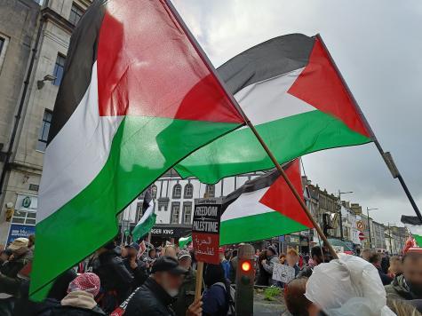 Eine Pro-Palästina Demo mit mehreren Fahnen 