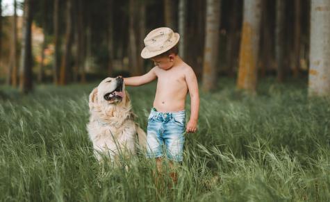 Kleiner Junge mit Hund im Gras
